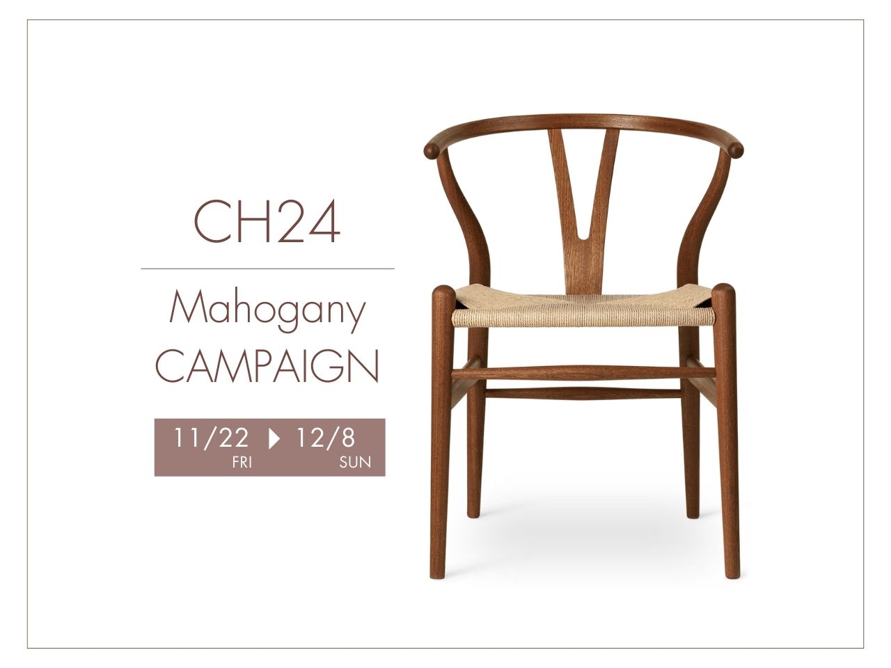 CH24（Yチェア） マホガニーキャンペーン開催 !! 11/22 (fri)- 12/8